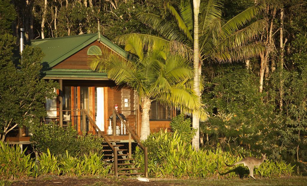 Lake Weyba Cottages Noosa Peregian Beach Buitenkant foto