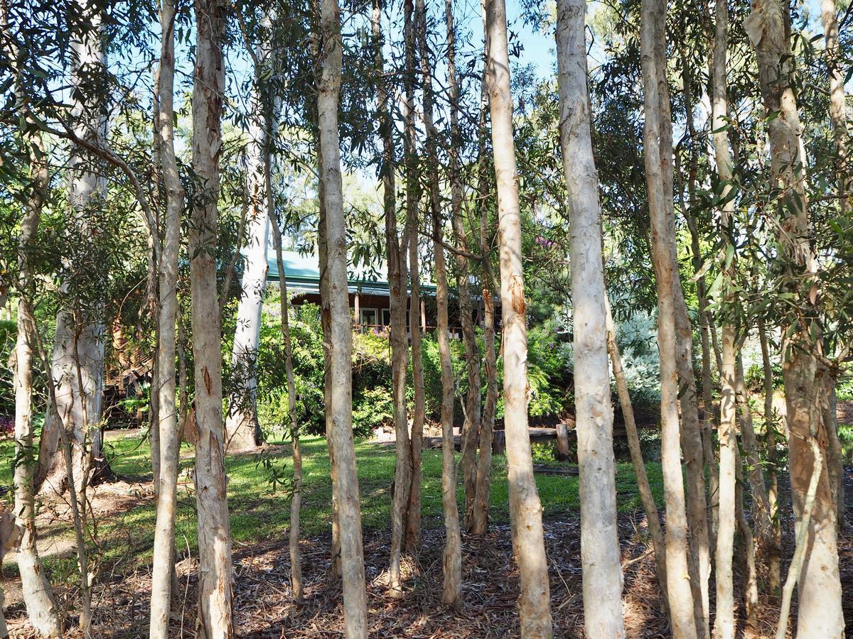 Lake Weyba Cottages Noosa Peregian Beach Buitenkant foto